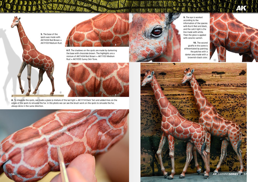 AK Learning Series: 14 - Painting Animal Figures