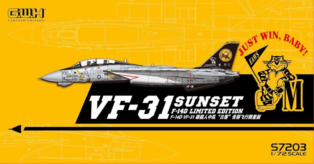 F-14D Tomcat - U.S. Navy VF-31 "Sunset" - Limited Edition