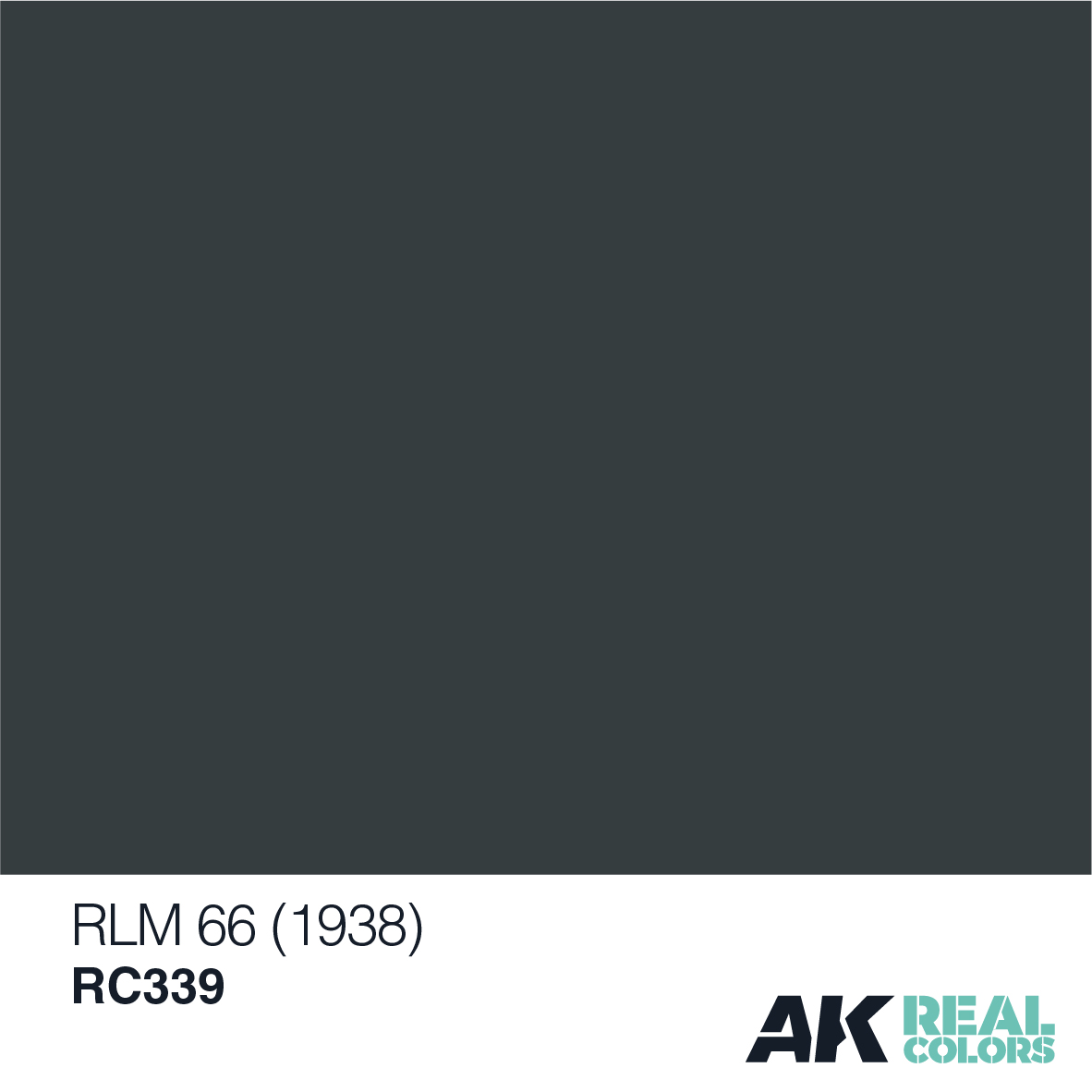 RLM 66 (1938)
