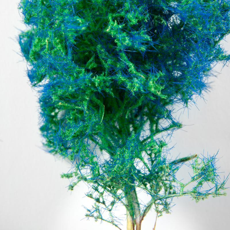 Blue-Green - Fantasy Bushes