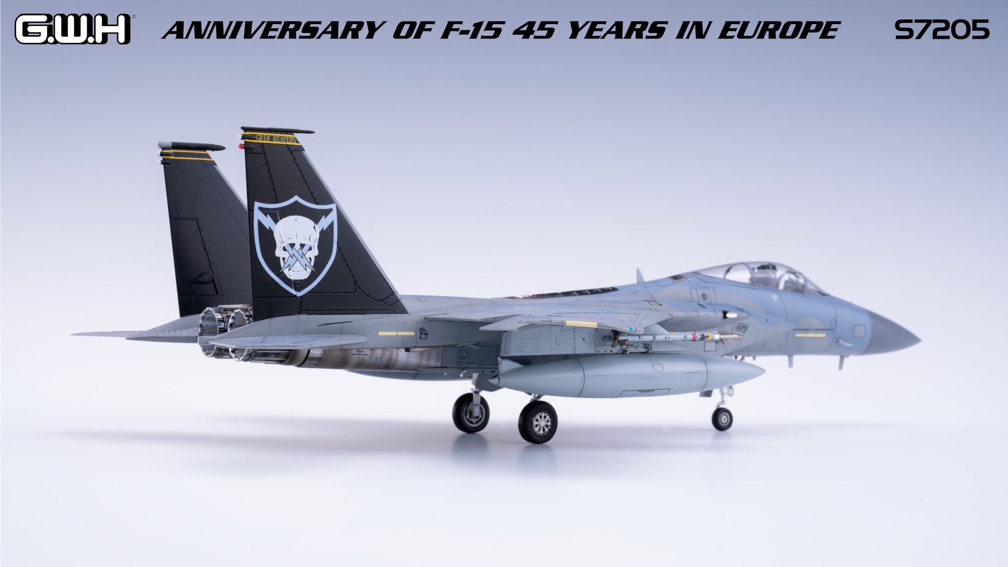 Anniversary of F-15 45 Years in Europe