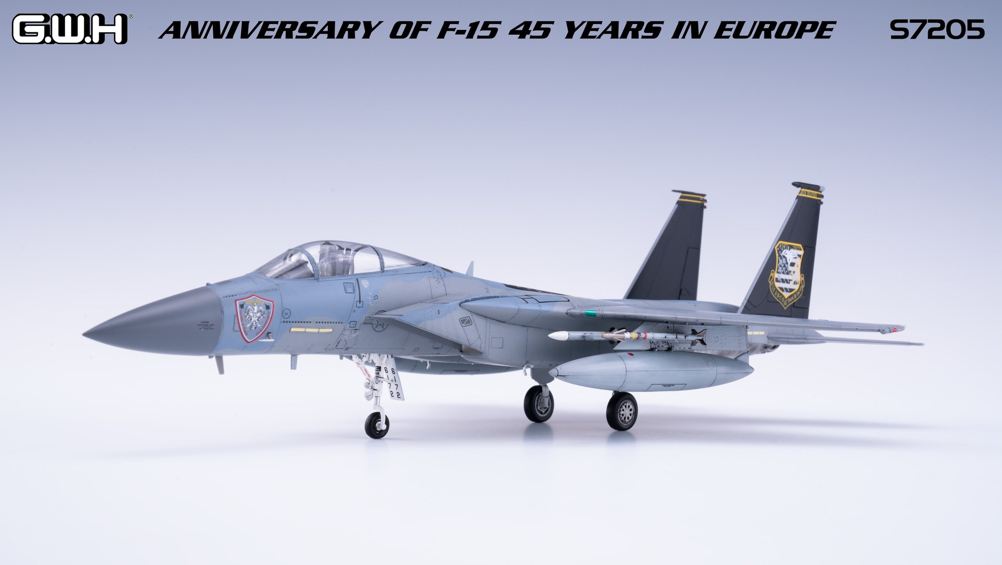Anniversary of F-15 45 Years in Europe