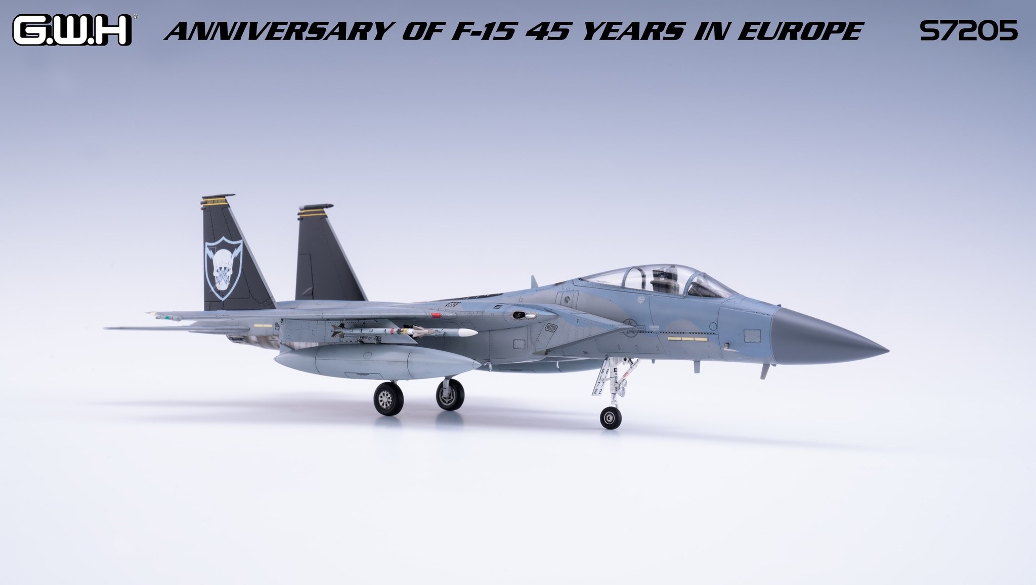 Anniversary of F-15 45 Years in Europe