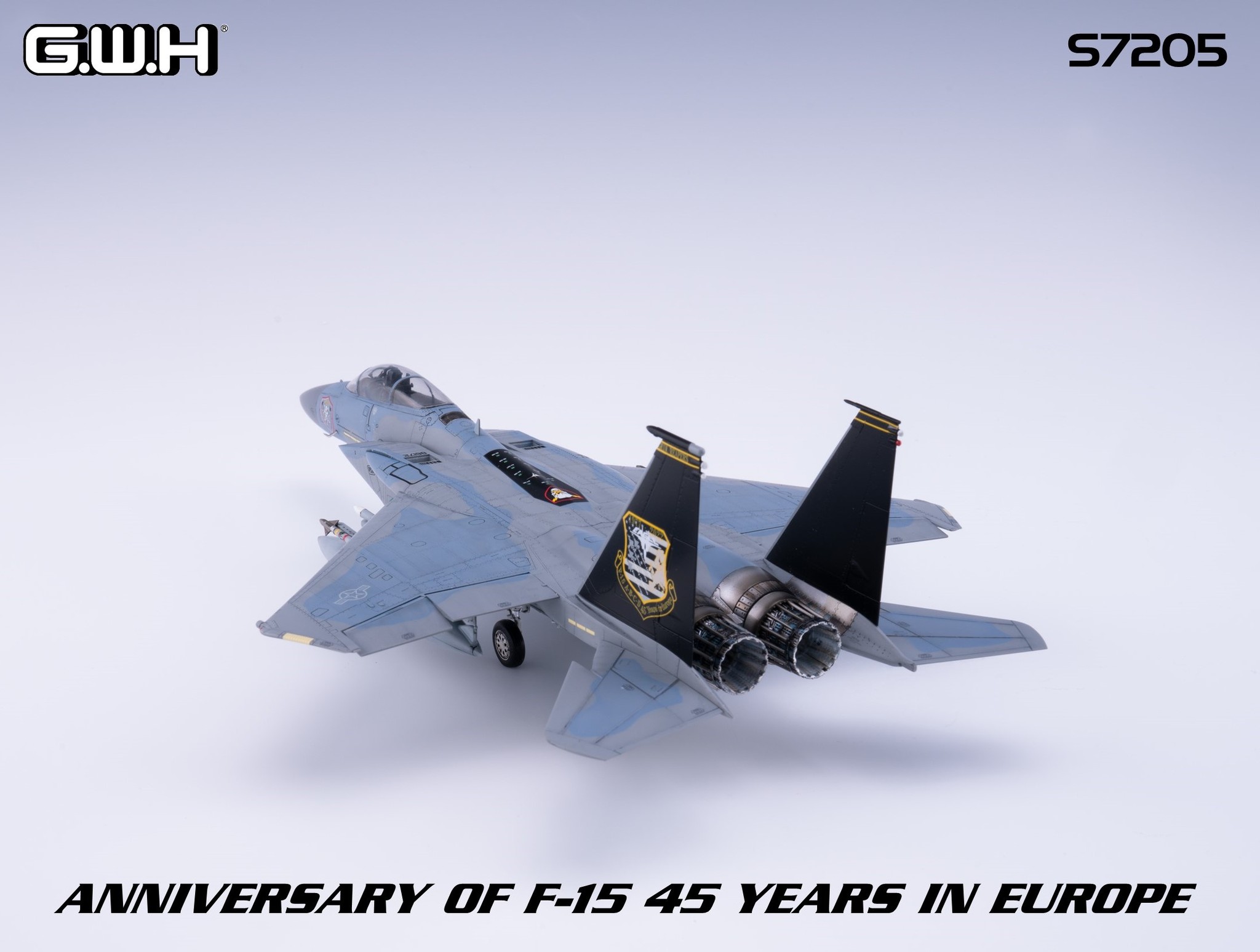 Anniversary of F-15 45 Years in Europe