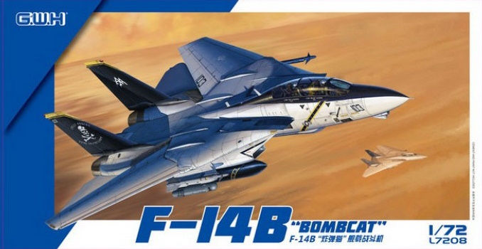 F-14B "Bombcat" F-14B "Bombcat"